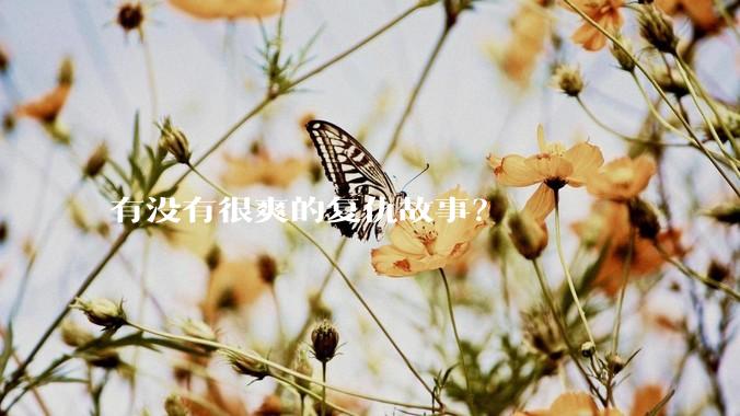 有没有很爽的复仇故事？