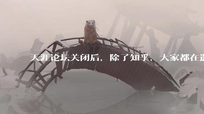 天涯论坛关闭后，除了知乎，大家都在逛什么？
