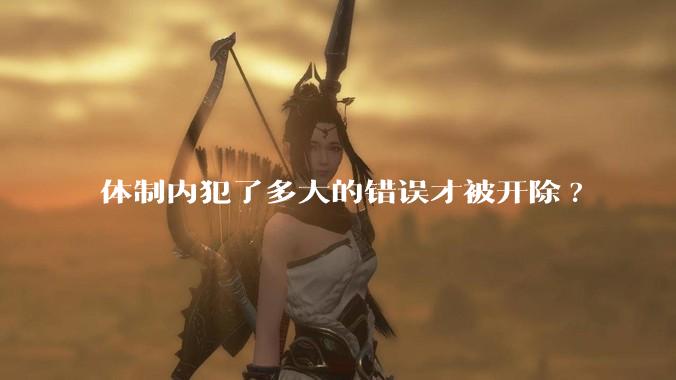 体制内犯了多大的错误才被开除?